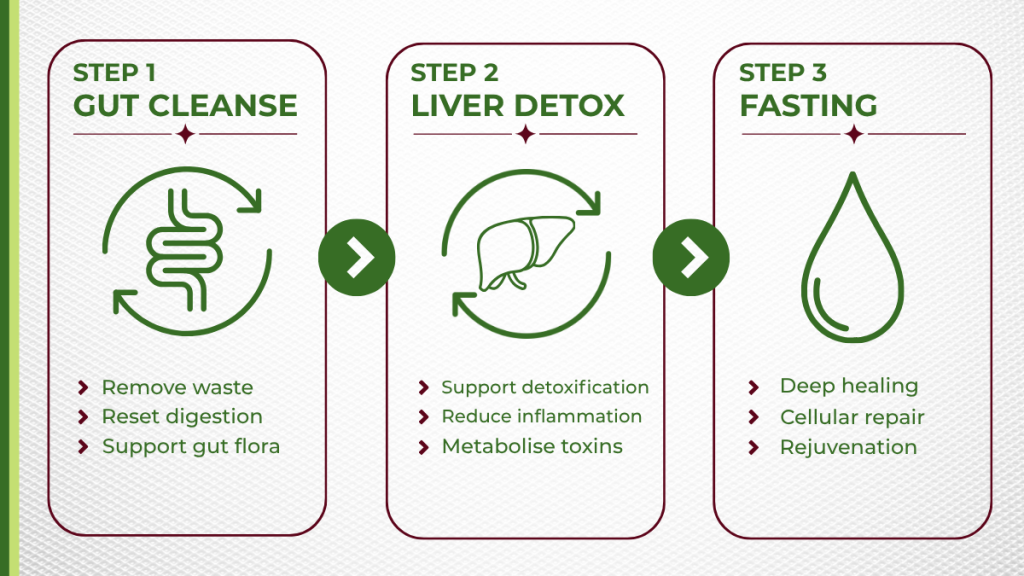 Nature Heal 3-step body cleansing system showing gut cleanse, liver detox and juice fasting